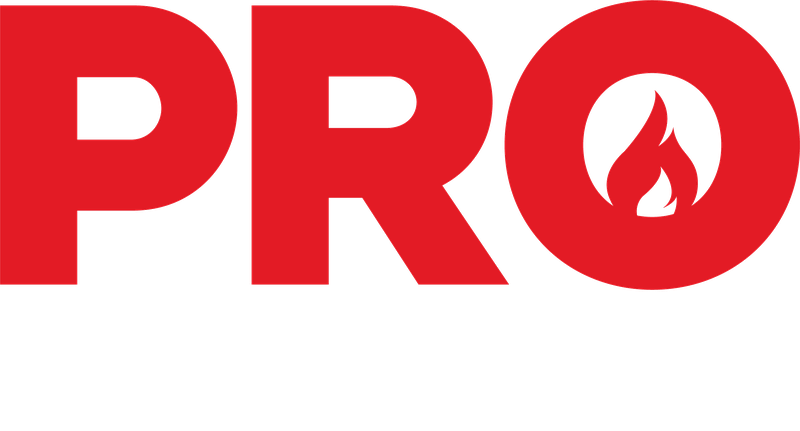 Pro Plumbers logo